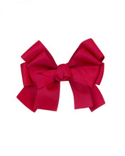 Load image into Gallery viewer, ASSORTED RIBBONS CLIPS