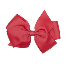 Load image into Gallery viewer, ASSORTED RIBBONS CLIPS