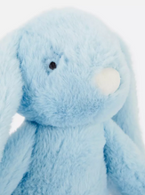 Load image into Gallery viewer, BUNNY PLUSH TOY
