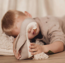 Load image into Gallery viewer, DOVE SENSORY TOY
