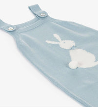 Load image into Gallery viewer, RABBIT SUITS SET (B)
