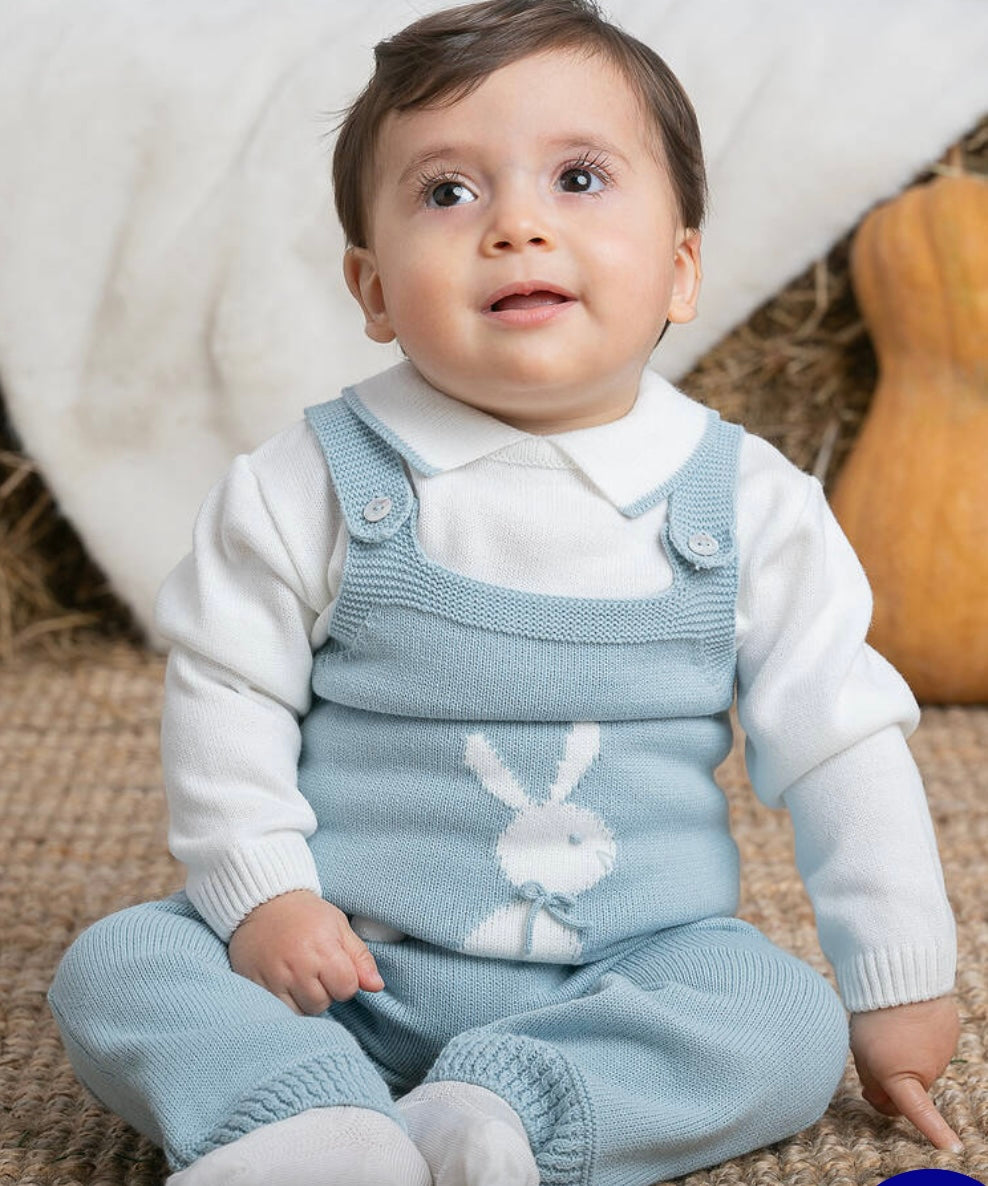 RABBIT SUITS SET (B)