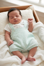 Load image into Gallery viewer, POLO ASSN BOY SET (A)
