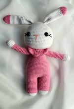 Load image into Gallery viewer, ASSORTED BABY CROCHET TOYS
