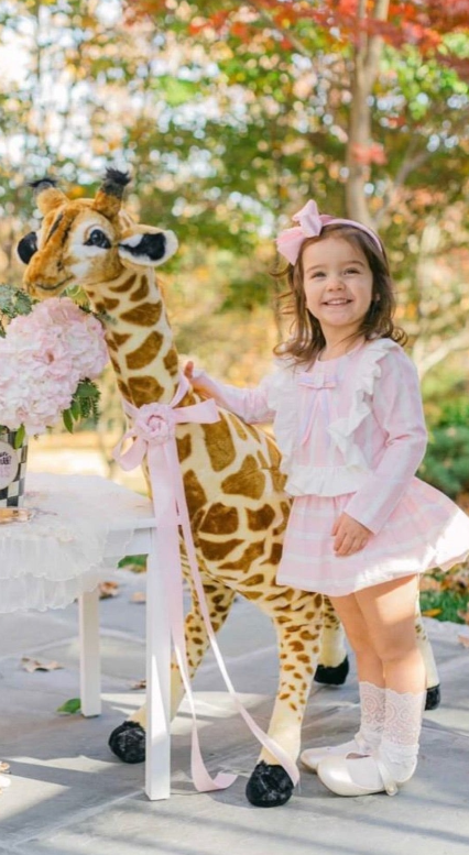 FAYETTE TODDLERS DRESS