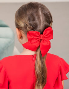ASSORTED RIBBONS CLIPS