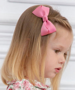 ASSORTED RIBBONS CLIPS