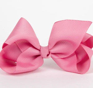 ASSORTED RIBBONS CLIPS