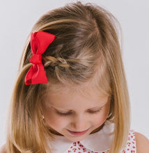 Load image into Gallery viewer, ASSORTED RIBBONS CLIPS
