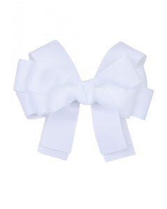 ASSORTED RIBBONS CLIPS